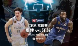 王哲林爆料视频在线观看,揭秘篮球场背后的故事